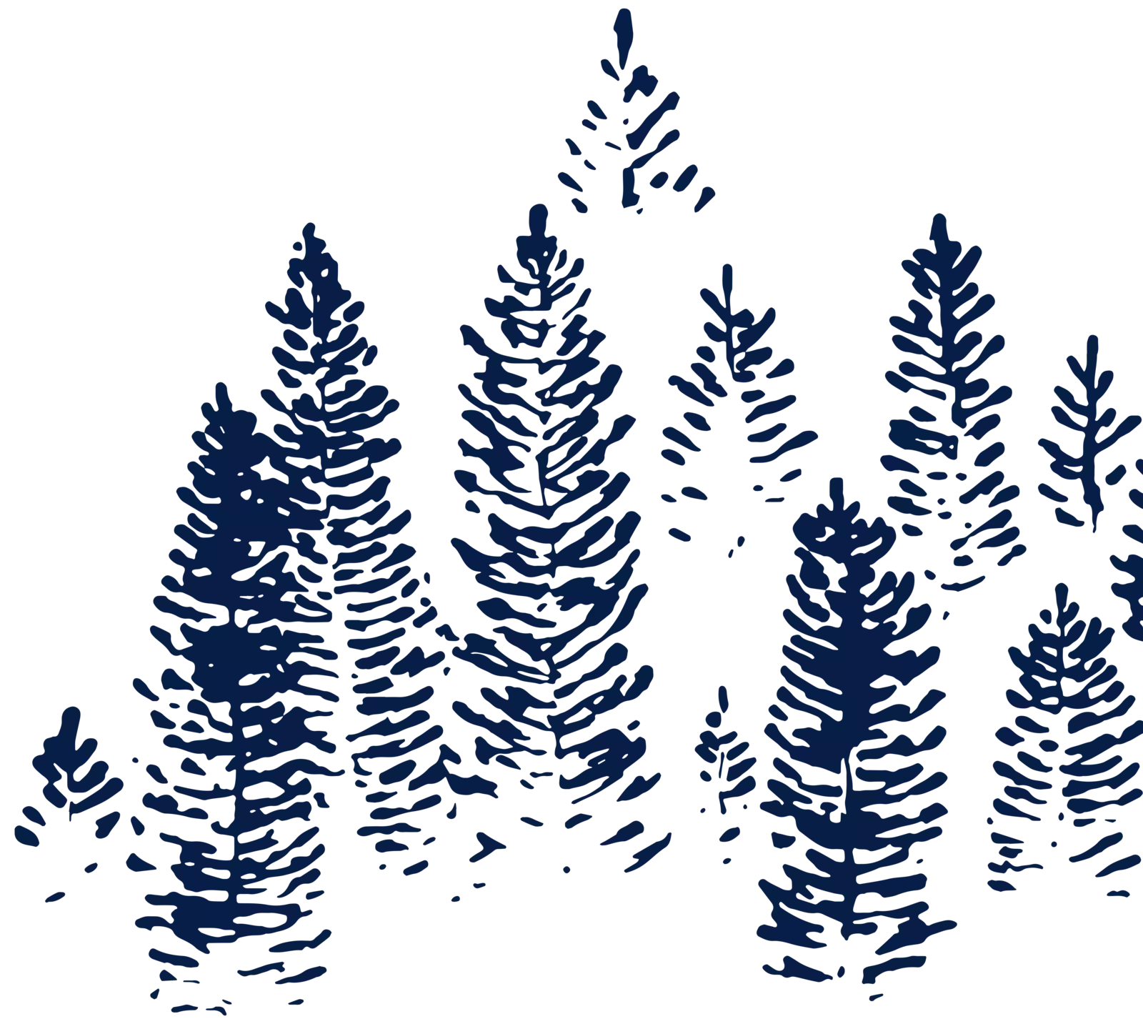 tree sketch