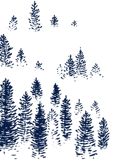 tree sketch