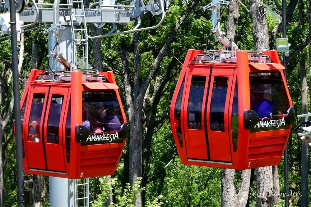Top 5 Things to Do in Gatlinburg for Adults - Old Creek Lodge
