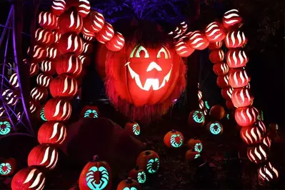 Spider pumpkin at Dollywood