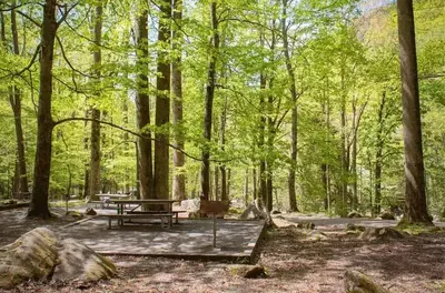 chimneys picnic area in the great smoky mountains