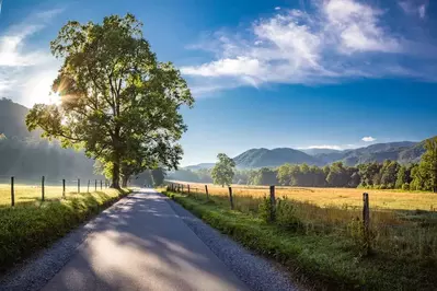 cades cove road smoky mountains