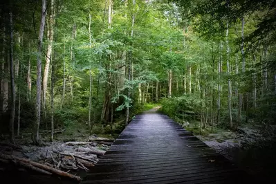 Little River Trail in the Smoky Mountains