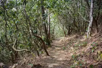elkmont nature trail smoky mountains