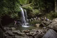 grotto falls smoky mountains llamas