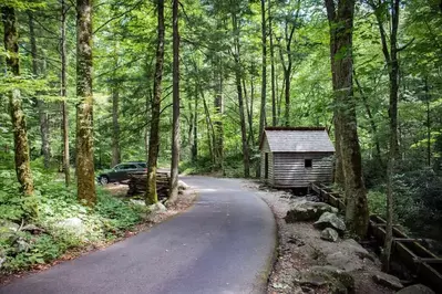 roaring fork area of the great smoky mountains national park