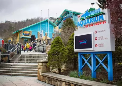 Ripley's Aquarium of the Smokies in Gatlinburg