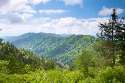 smoky mountains during summer