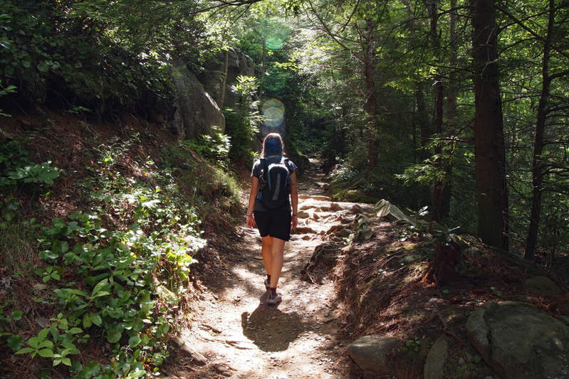 hiking trails in the great smoky mountains