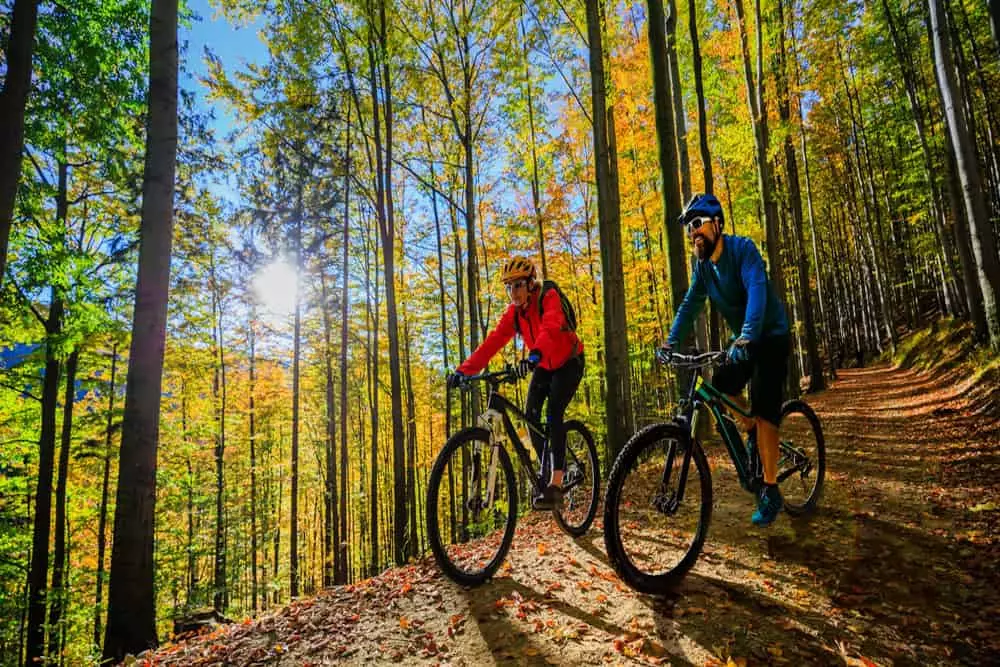 mountain bikers