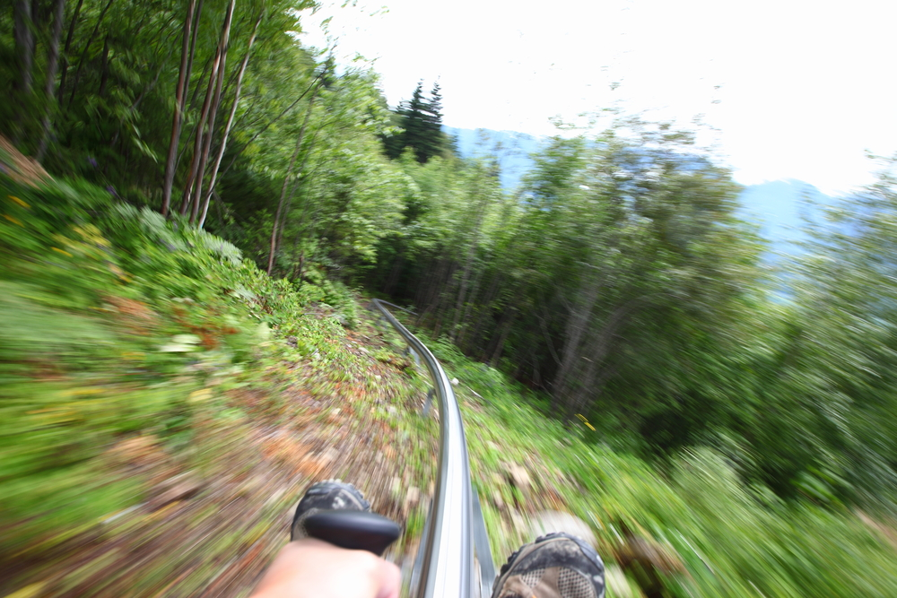 hand brake on mountain coaster