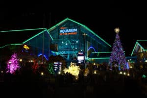winterfest lights ripley's aquarium