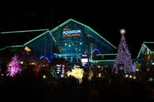 Ripley's Aquarium Winterfest
