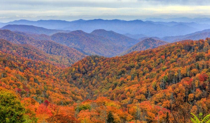 Fall foliage in the Smoky Mountains