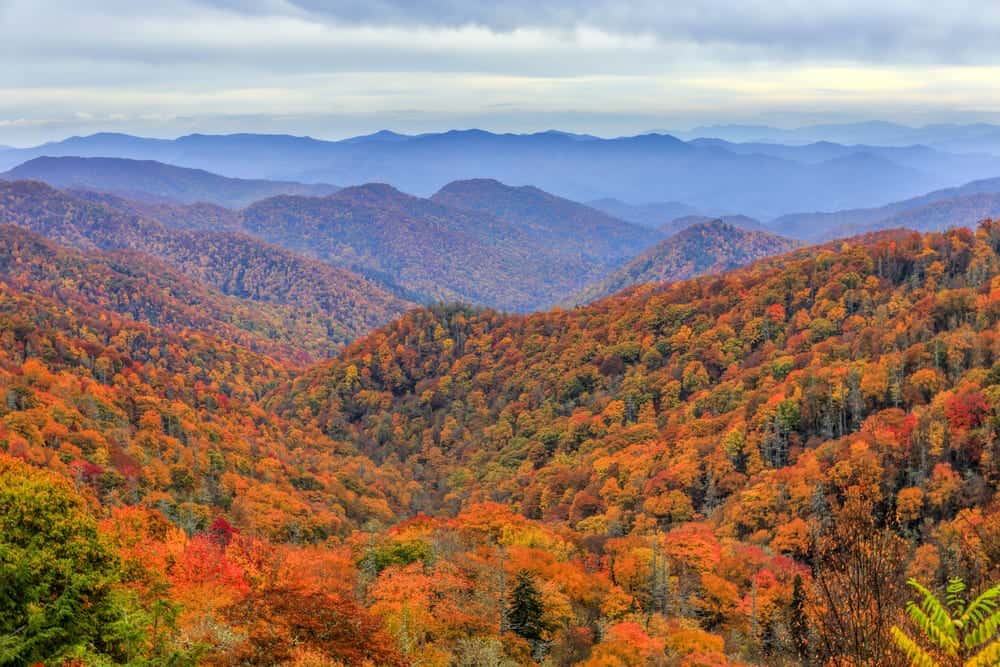 Fall foliage in the Smoky Mountains